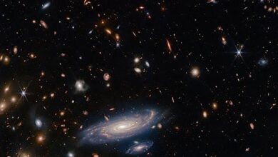 Discovered 49 galaxies within 3 hours